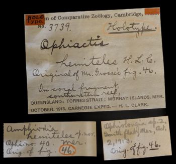 Media type: image;   Invertebrate Zoology OPH-3739 Description: Labels for this specimen included in the specimen tray.;  Aspect: labels